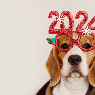 New Years 2024 Beagle Dogs of DR Mower