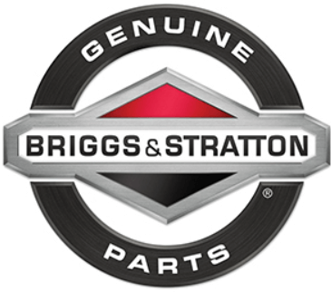 591868 Briggs and Stratton OEM Spark Plug