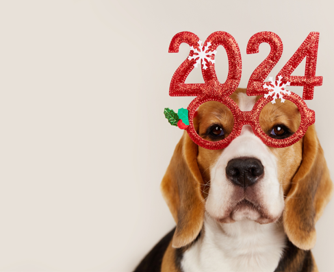 New Years 2024 Beagle Dogs of DR Mower