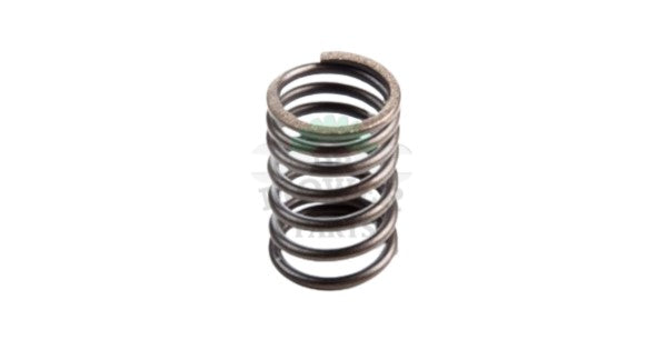 260552 Briggs and Stratton Valve Spring 690520 — DR Mower Parts