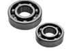 Two black bearings on a white background