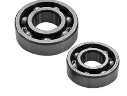 Two black bearings on a white background