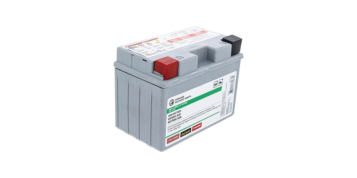 MFC-01 コントロールユニット + TamTam バッテリー 490-280-F017 MTD Battery 11AHR-AGM 725-17335 — DR Mower Parts