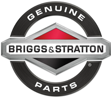 399806s Briggs and Stratton 491519 Air Filter Genuine Manufacturer's Part