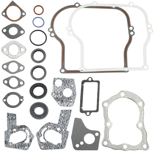 495603 Briggs Engine Gasket Set