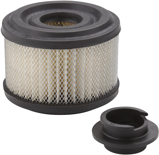 496047 Briggs and Stratton Air Filter 270209