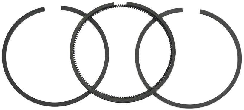 499921 Briggs and Stratton Ring Set Standard 391669