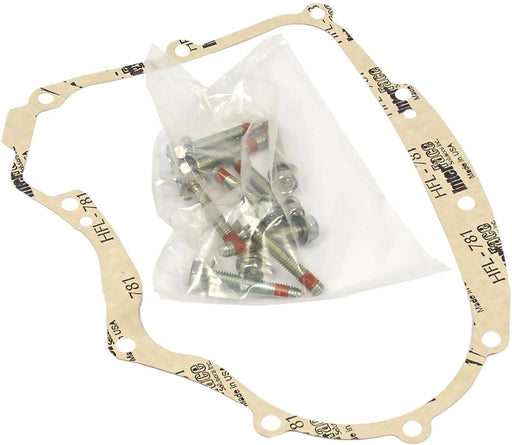 594195 Briggs Gasket Kit