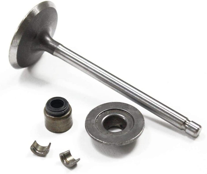 793556 Briggs and Stratton Intake Valve CURRENTLY ON BACKORDER — DR