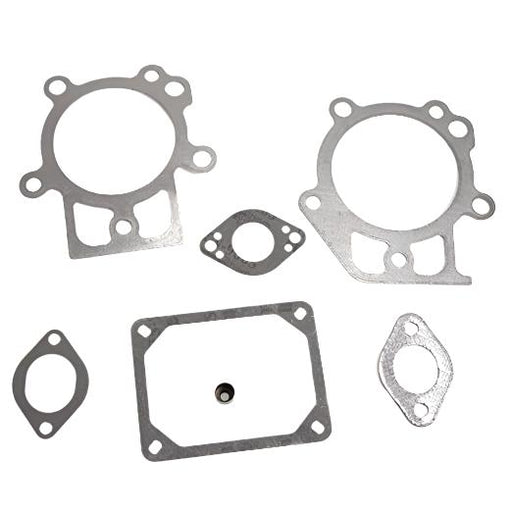 795200 Briggs Gasket Valve Set | DRMower.ca