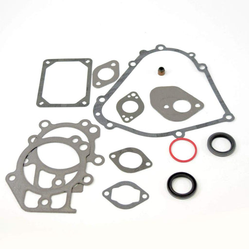 795201 Briggs & Stratton Engine Gasket Set | DRMower.ca