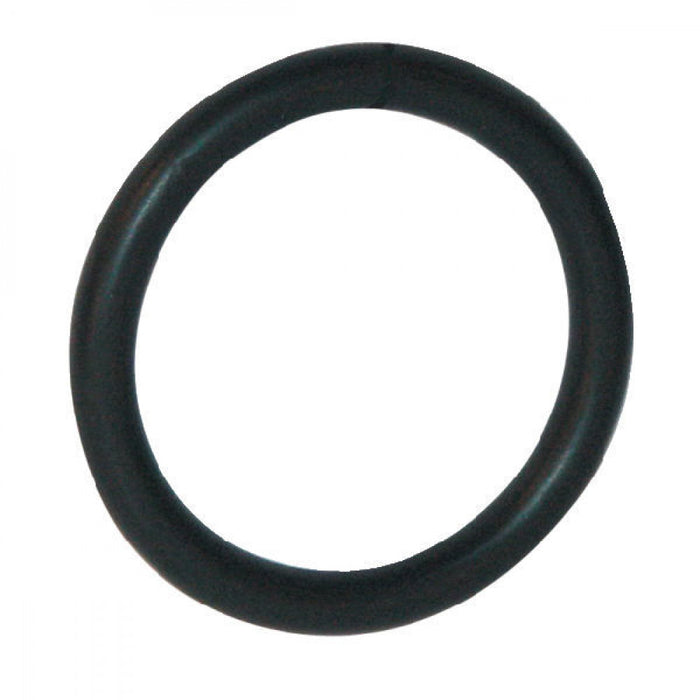 798511 Briggs Seal O-ring