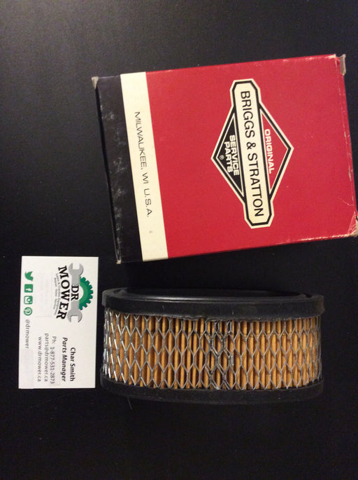 Briggs and Stratton 393406 Air Filter
