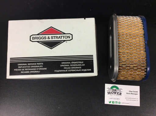 Briggs and Stratton 491021 Air Filter