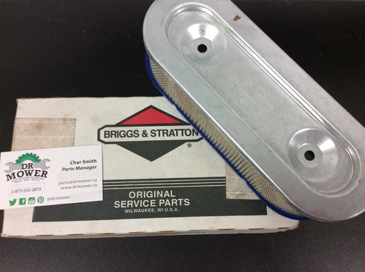Briggs and Stratton 399968 Air Filter